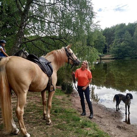 L'Echappee Verte - Gite Equestre 5 Pers Soucht Εξωτερικό φωτογραφία