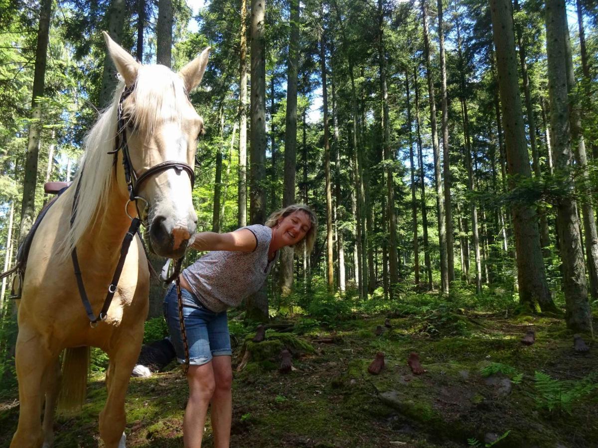 L'Echappee Verte - Gite Equestre 5 Pers Soucht Εξωτερικό φωτογραφία