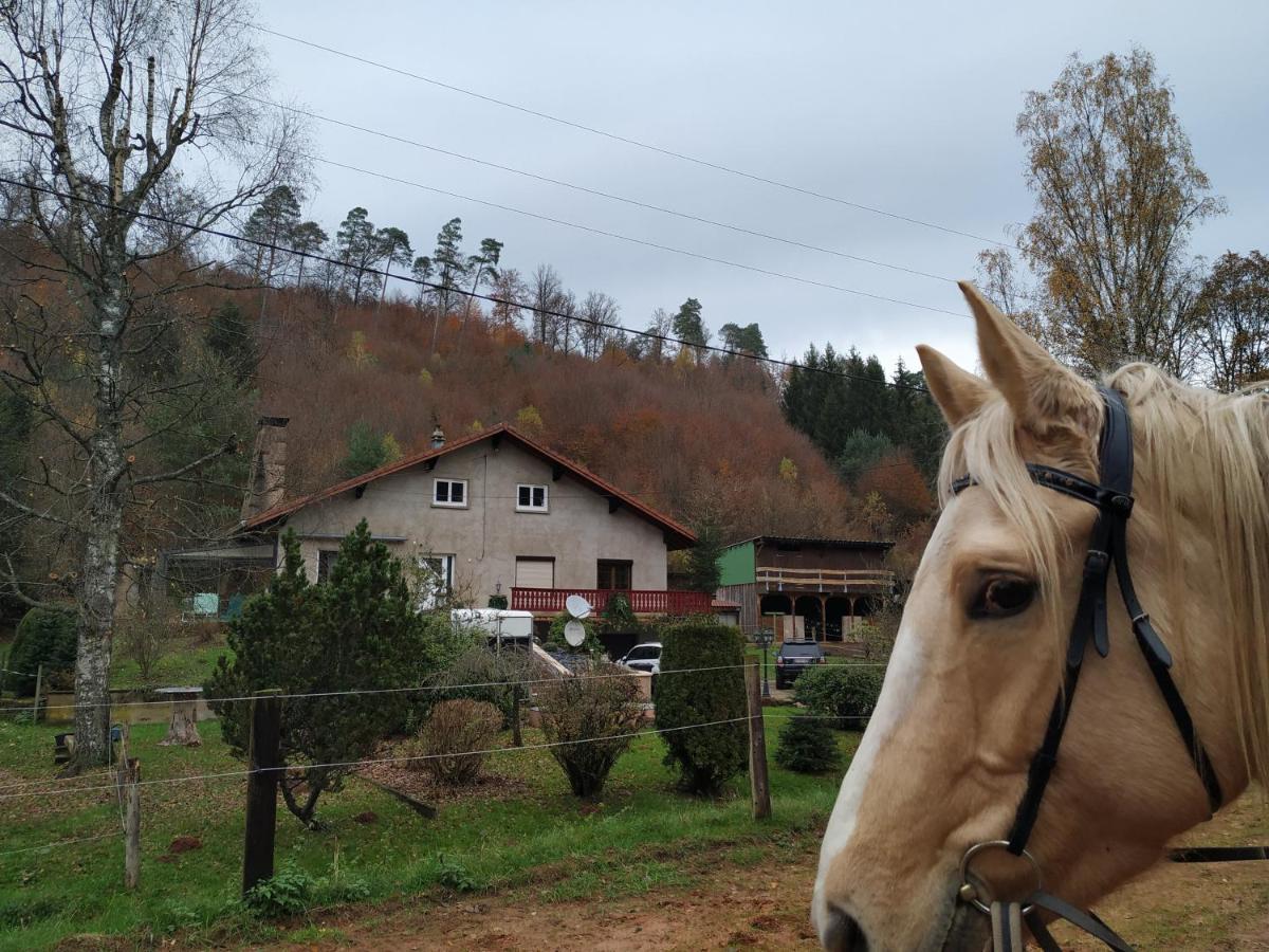 L'Echappee Verte - Gite Equestre 5 Pers Soucht Εξωτερικό φωτογραφία