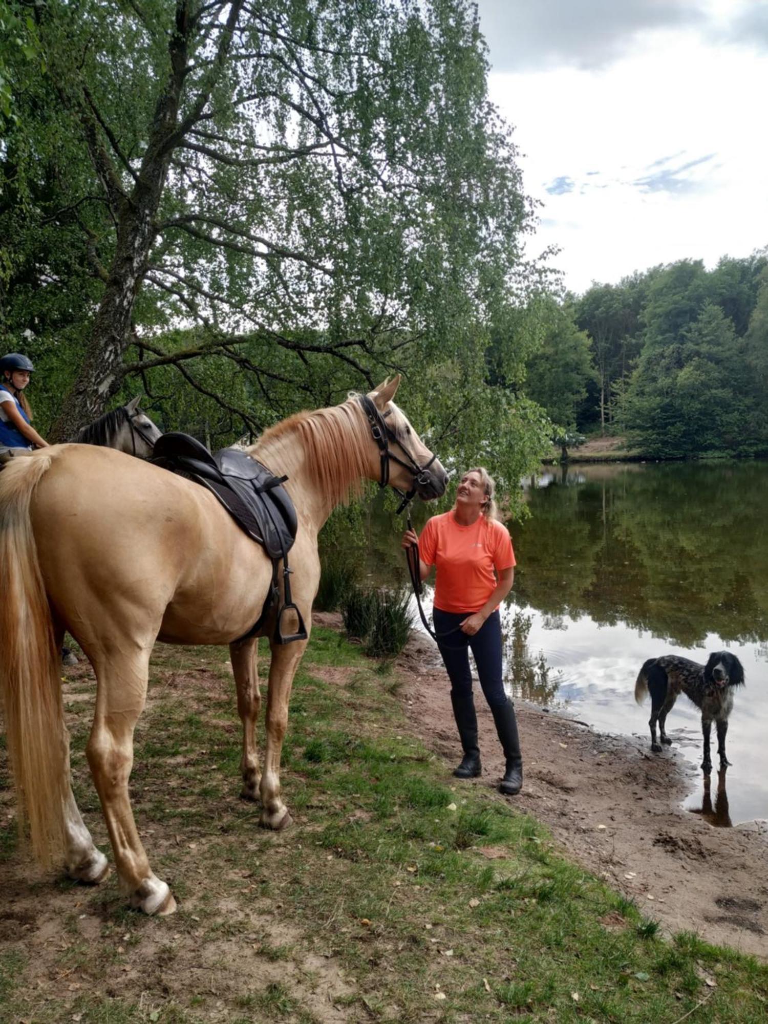 L'Echappee Verte - Gite Equestre 5 Pers Soucht Εξωτερικό φωτογραφία