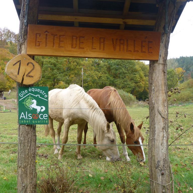 L'Echappee Verte - Gite Equestre 5 Pers Soucht Εξωτερικό φωτογραφία