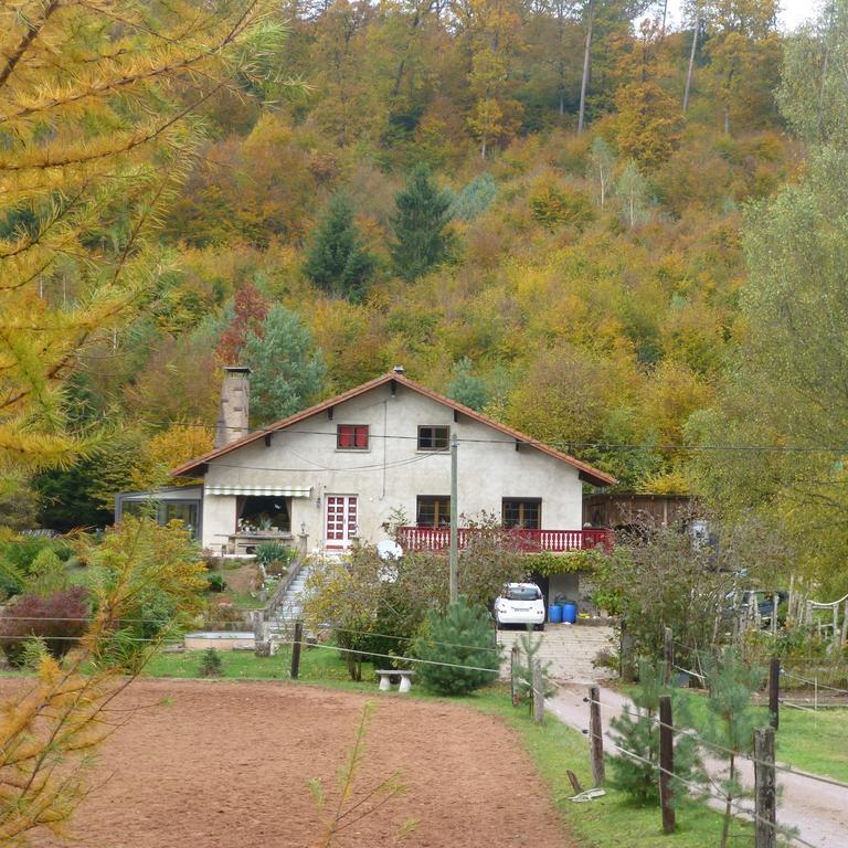 L'Echappee Verte - Gite Equestre 5 Pers Soucht Εξωτερικό φωτογραφία