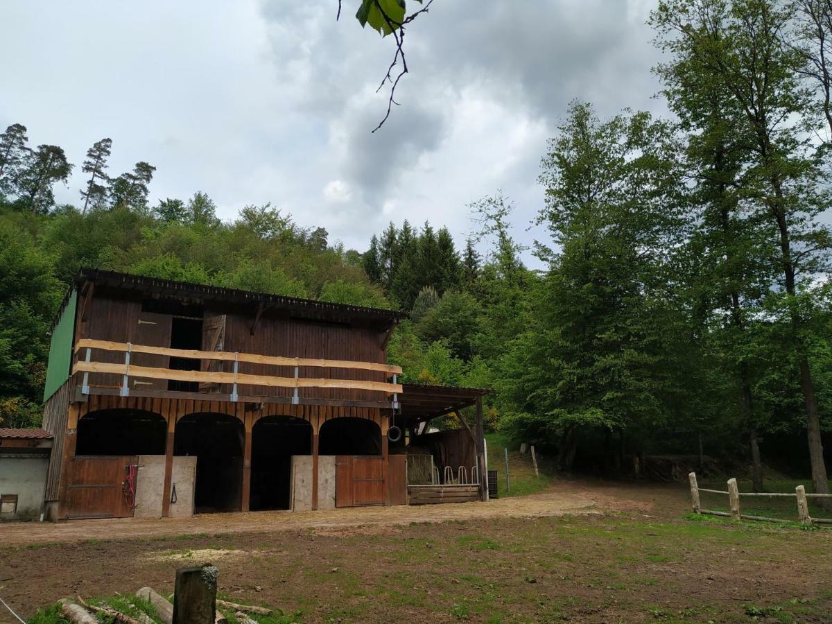 L'Echappee Verte - Gite Equestre 5 Pers Soucht Εξωτερικό φωτογραφία